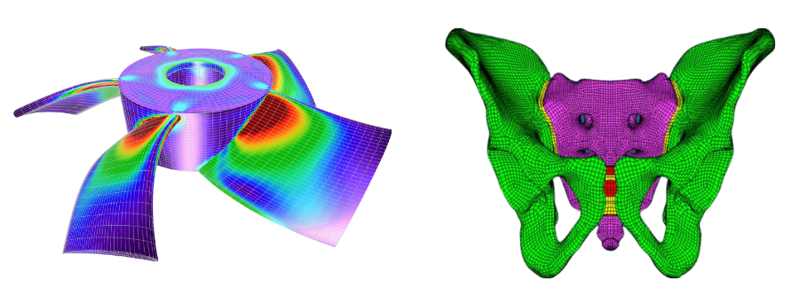 Rendering of a turbine blade and the pelvis