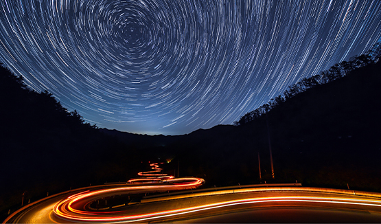 Trees and starry sky