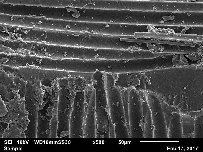 sem picture of glass fiber composite material