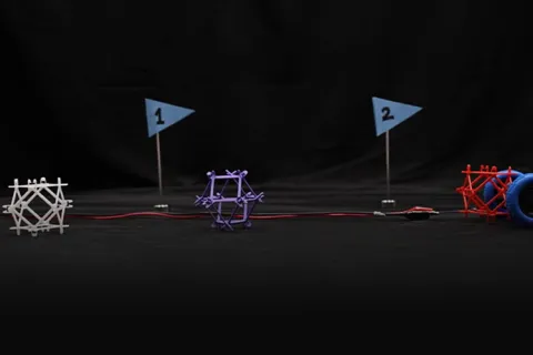 Shake and release